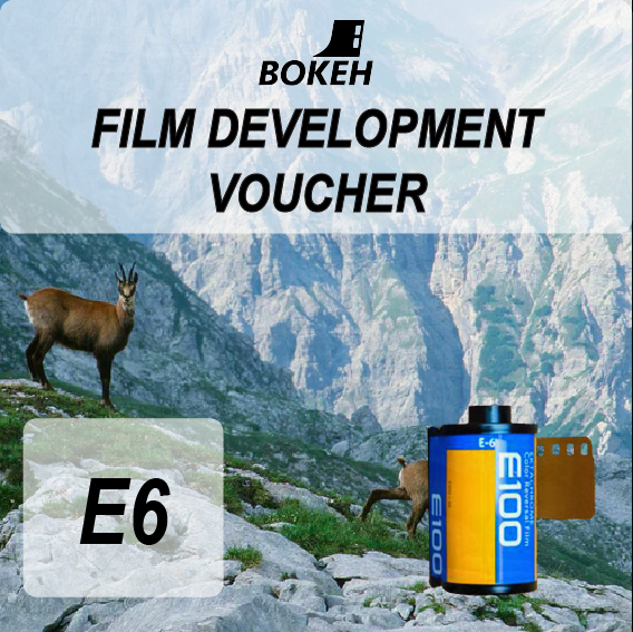 E6 Film development voucher